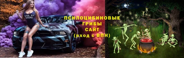 амф Горняк
