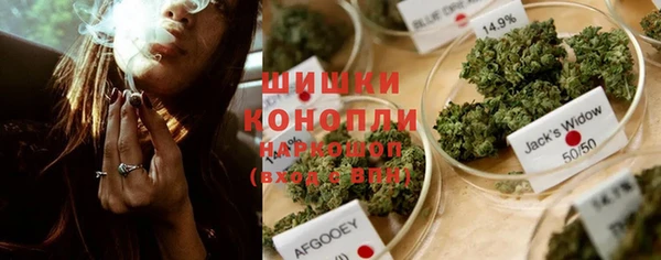 2c-b Горнозаводск
