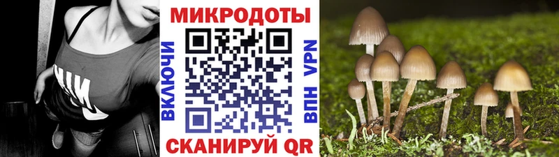 Галлюциногенные грибы ЛСД  как найти закладки  Гусев 